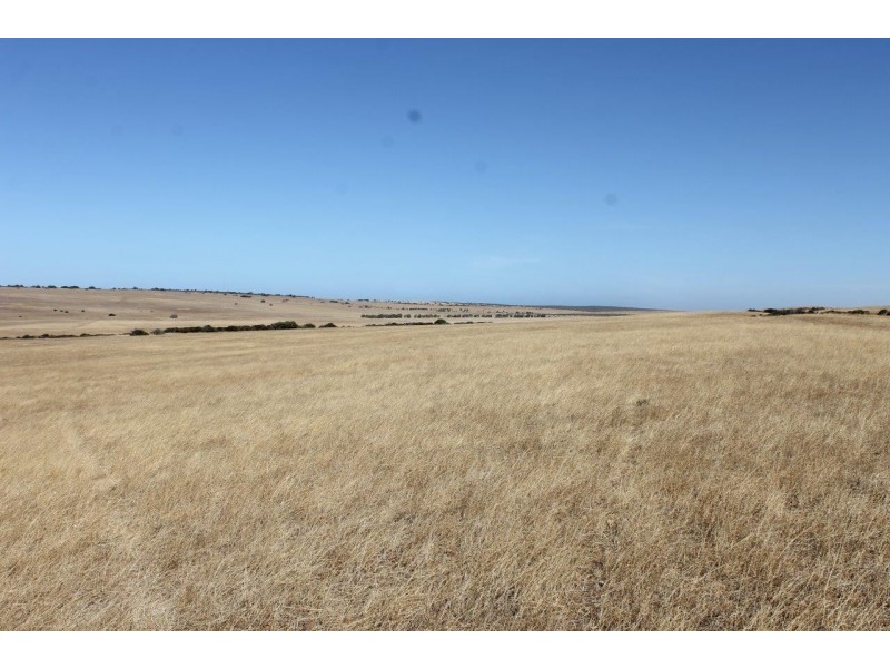 Lot 25 Willigulli Road, Sandy Gully WA 6535