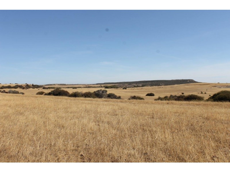 Lot 25 Willigulli Road, Sandy Gully WA 6535