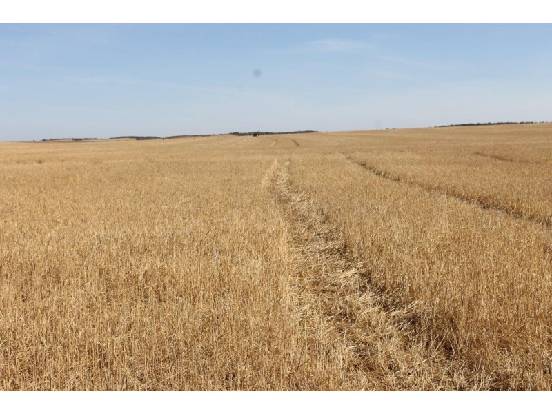 Lot 25 Willigulli Road, Sandy Gully WA 6535