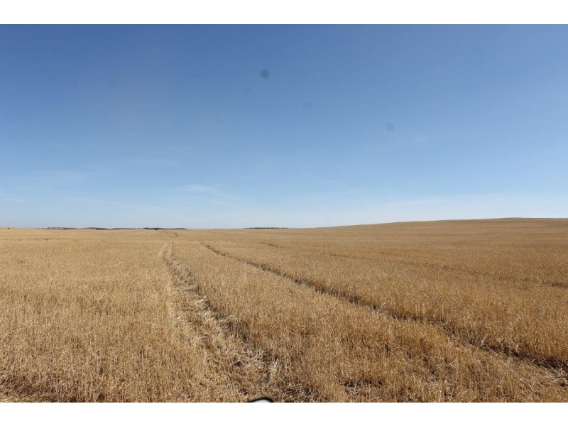 Lot 25 Willigulli Road, Sandy Gully WA 6535