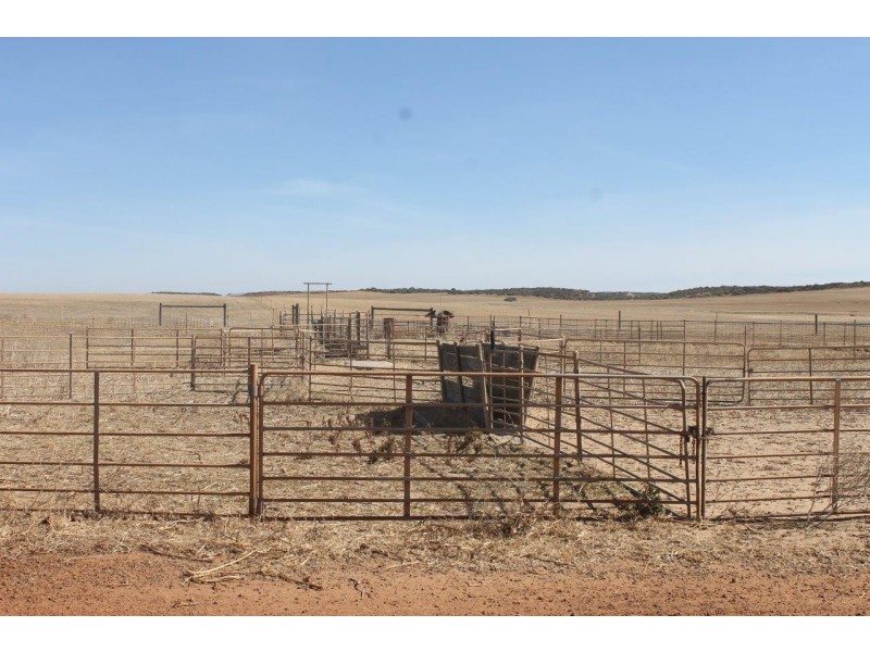 Lot 25 Willigulli Road, Sandy Gully WA 6535