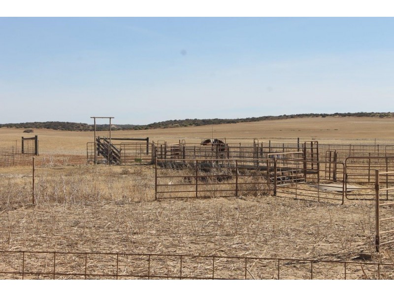 Lot 25 Willigulli Road, Sandy Gully WA 6535