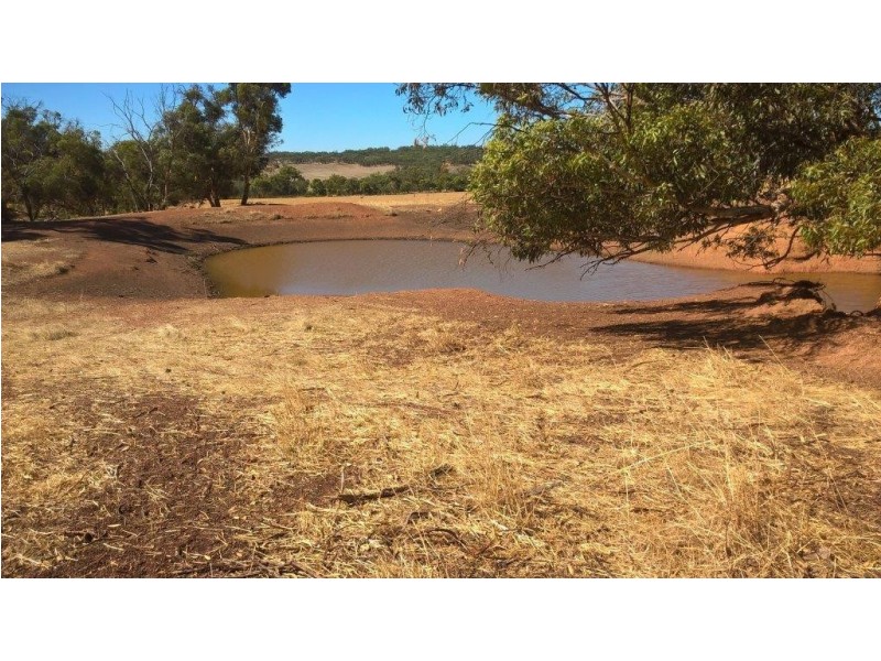 344 Mogumber – Yarawindah Road, Mogumber WA 6506