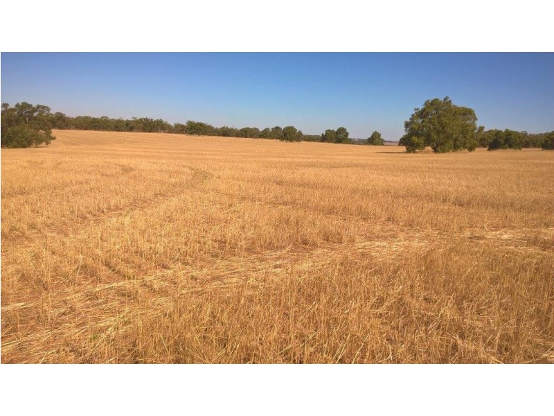 344 Mogumber – Yarawindah Road, Mogumber WA 6506