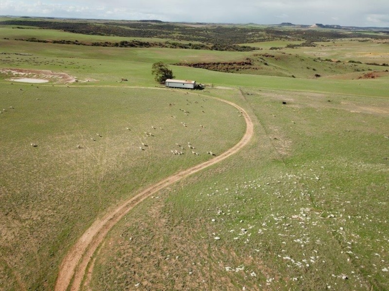 1310 Teakle Road, Northampton WA 6535