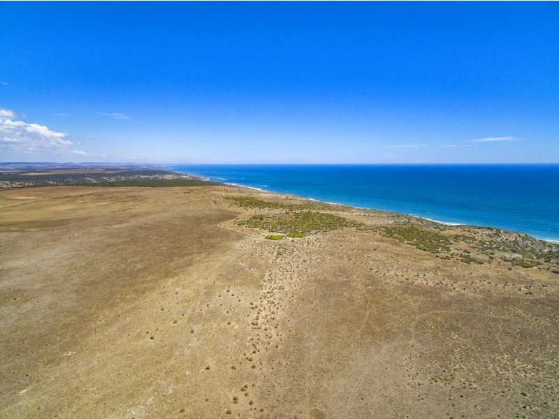 1310 Teakle Road, Northampton WA 6535