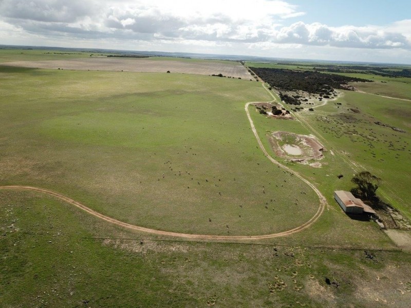 1310 Teakle Road, Northampton WA 6535