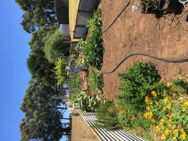 852 Perup Road, Manjimup WA 6258