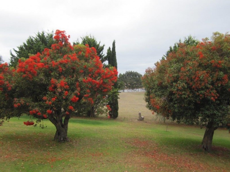 852 Perup Road, Manjimup WA 6258