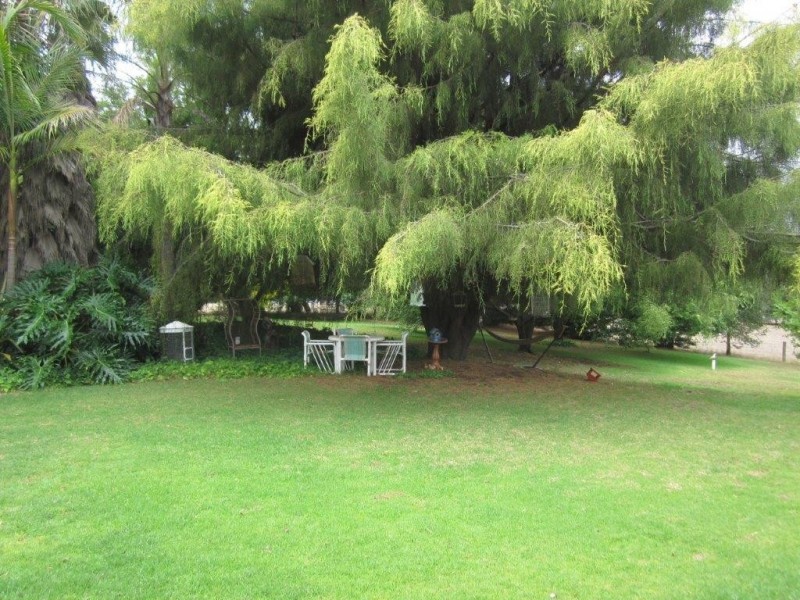 852 Perup Road, Manjimup WA 6258