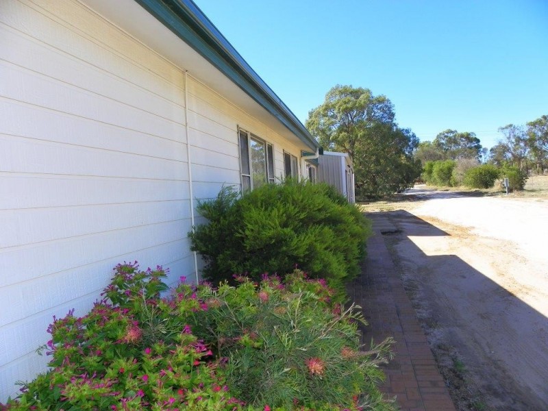 ‘Gunnadoo’ 68 Mills Street, Katanning WA 6317