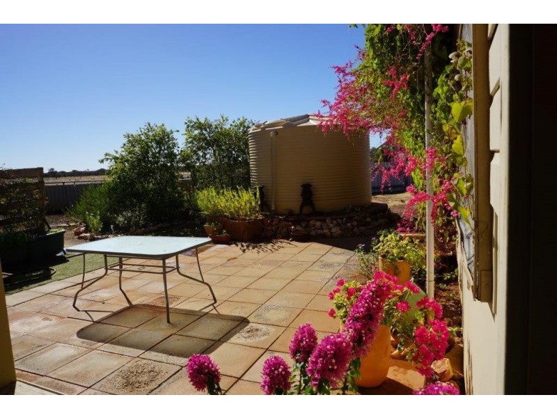 . ‘Kirkalocka Station’, Mount Magnet WA 6638