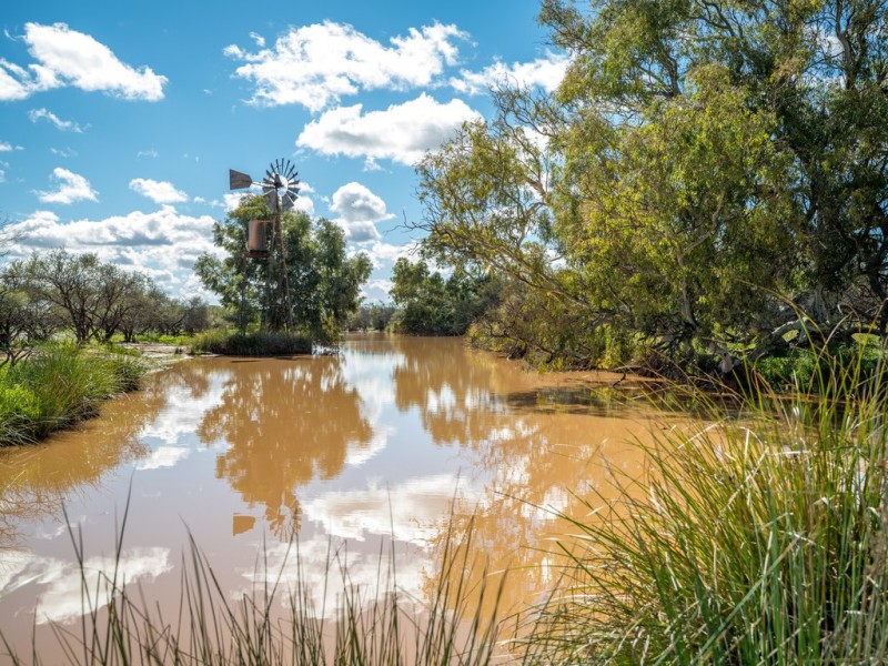 . ‘Kirkalocka Station’, Mount Magnet WA 6638