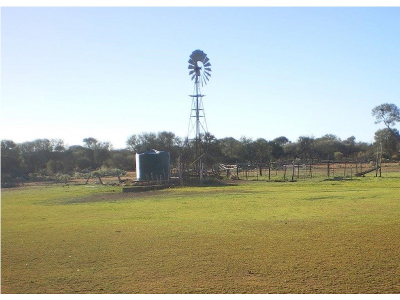 . ‘Kirkalocka Station’, Mount Magnet WA 6638