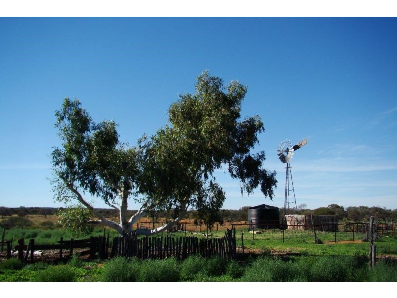 . ‘Kirkalocka Station’, Mount Magnet WA 6638