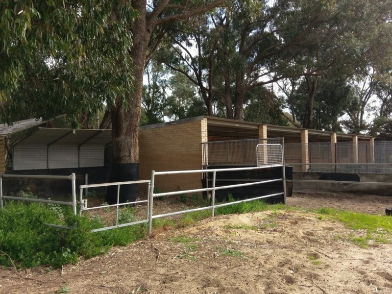 12 McCarthy Road, Bandy Creek WA 6450