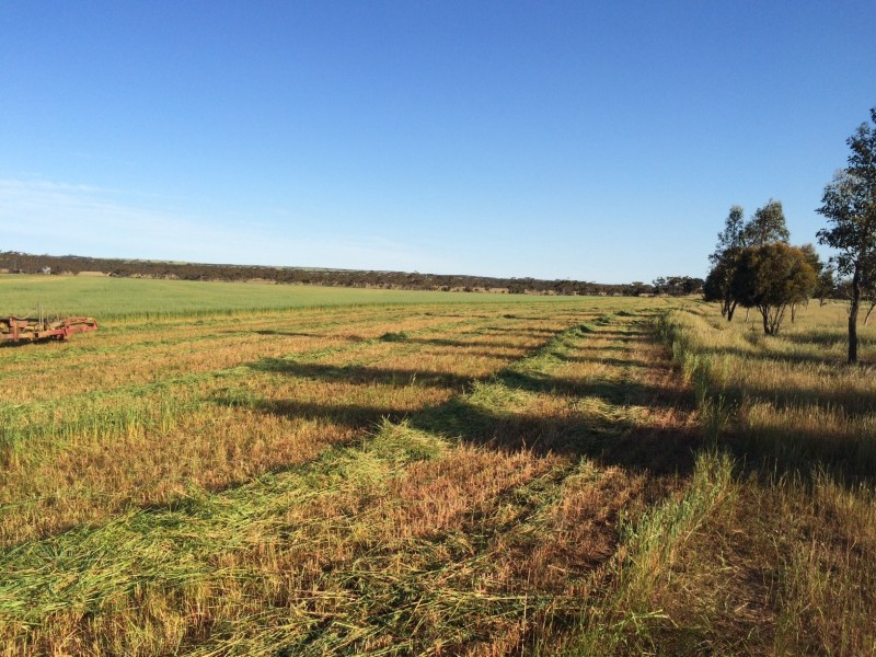 187 Gibb Rock Road, Woolocutty WA 6369