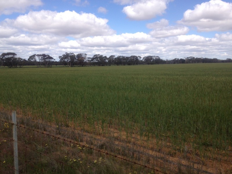 187 Gibb Rock Road, Woolocutty WA 6369