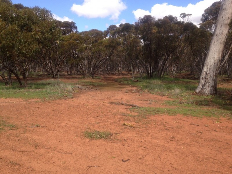 187 Gibb Rock Road, Woolocutty WA 6369