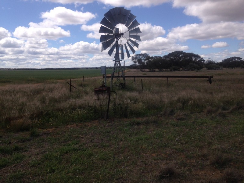 187 Gibb Rock Road, Woolocutty WA 6369