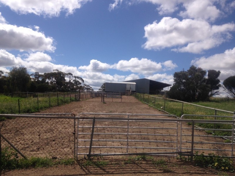 187 Gibb Rock Road, Woolocutty WA 6369