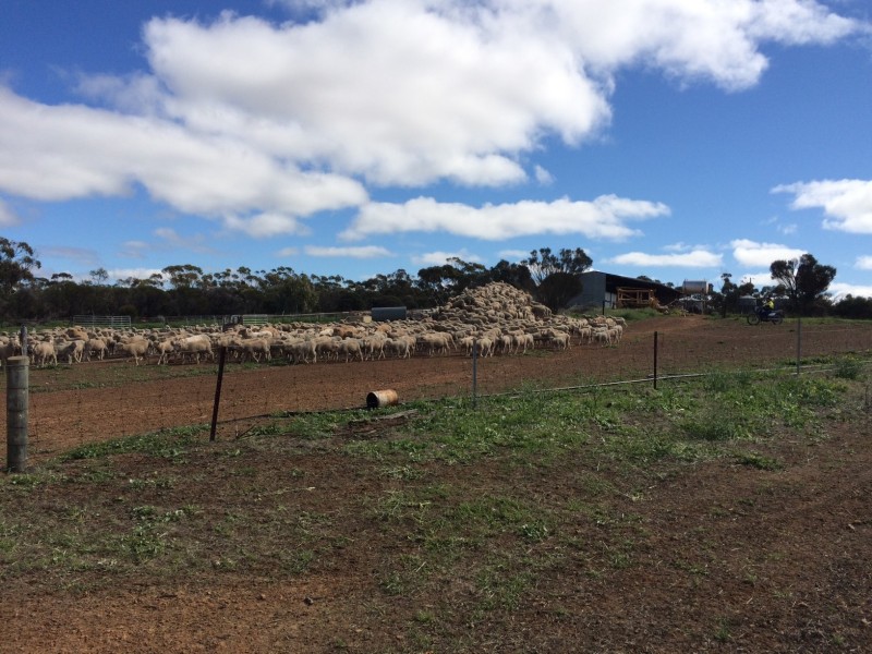 187 Gibb Rock Road, Woolocutty WA 6369