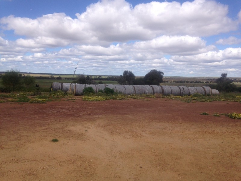 187 Gibb Rock Road, Woolocutty WA 6369