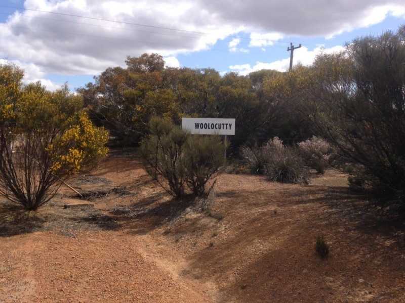 187 Gibb Rock Road, Woolocutty WA 6369