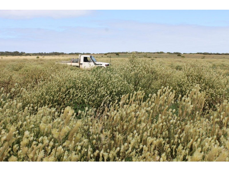 198 Byne Park Road, Narngulu WA 6532