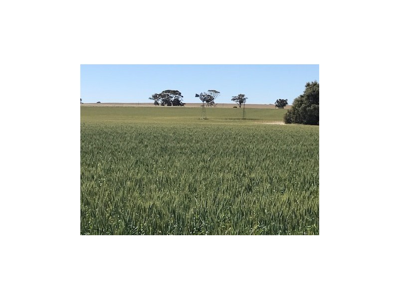 ‘Stonehaven’ Bruce Rock – Quairading Road, Kwolyin WA 6385