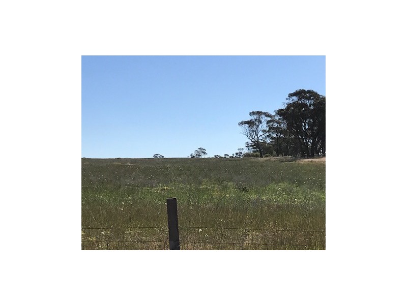 ‘Stonehaven’ Bruce Rock – Quairading Road, Kwolyin WA 6385