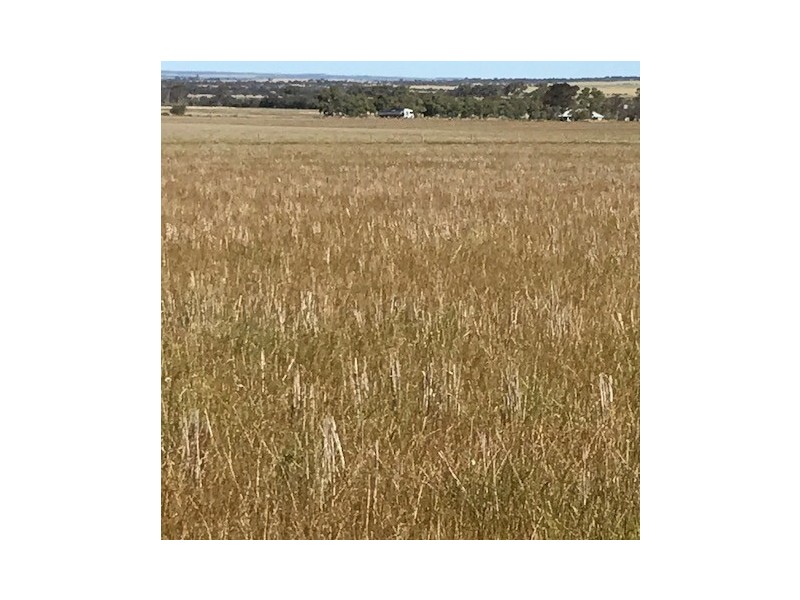 ‘Stonehaven’ Bruce Rock – Quairading Road, Kwolyin WA 6385