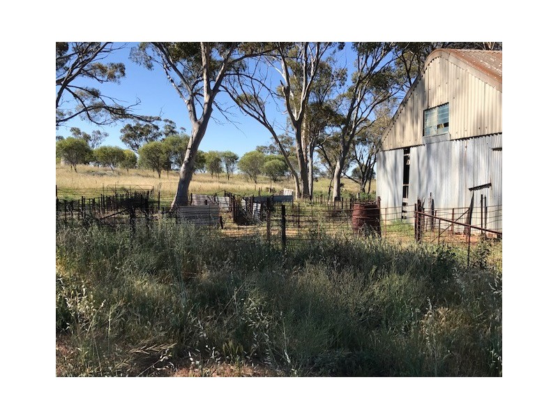 ‘Stonehaven’ Bruce Rock – Quairading Road, Kwolyin WA 6385