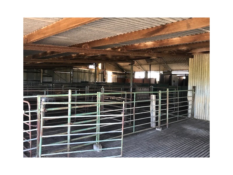 ‘Stonehaven’ Bruce Rock – Quairading Road, Kwolyin WA 6385