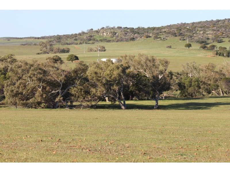 Lot 1002 Isseka Road East, Bowes WA 6535