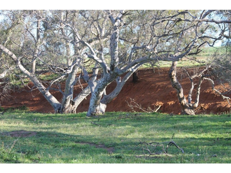 Lot 1002 Isseka Road East, Bowes WA 6535