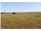 Lot 1002 Isseka Road East, Bowes WA 6535