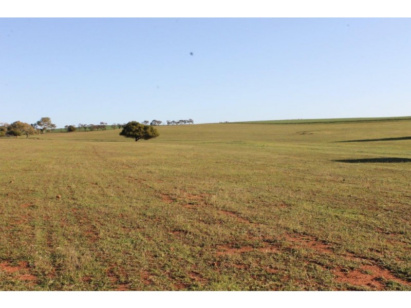 Lot 1002 Isseka Road East, Bowes WA 6535