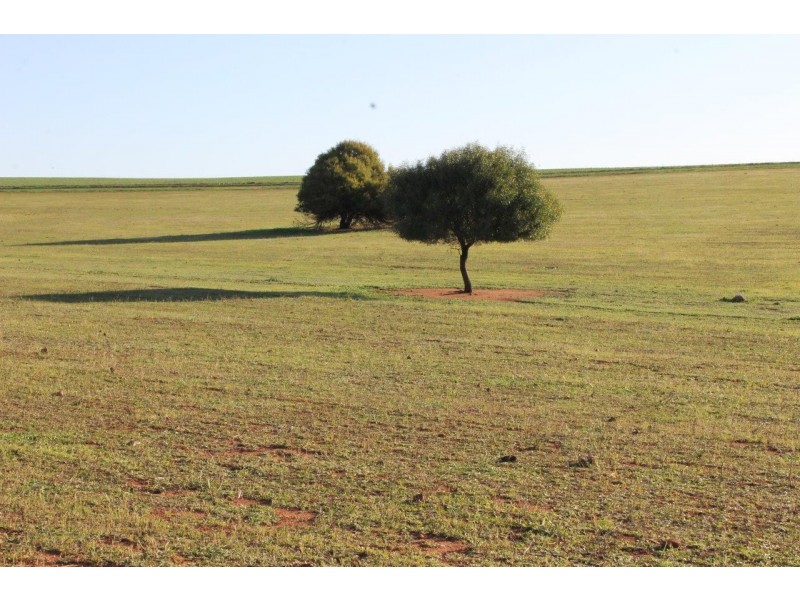 Lot 1002 Isseka Road East, Bowes WA 6535