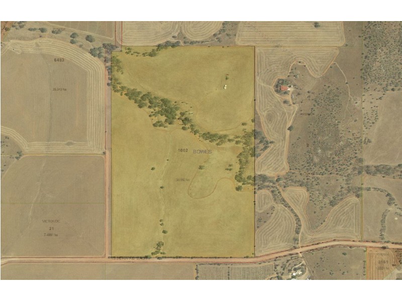 Lot 1002 Isseka Road East, Bowes WA 6535