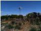 Lot 9950 Carot Well Road, Dalwallinu WA 6609