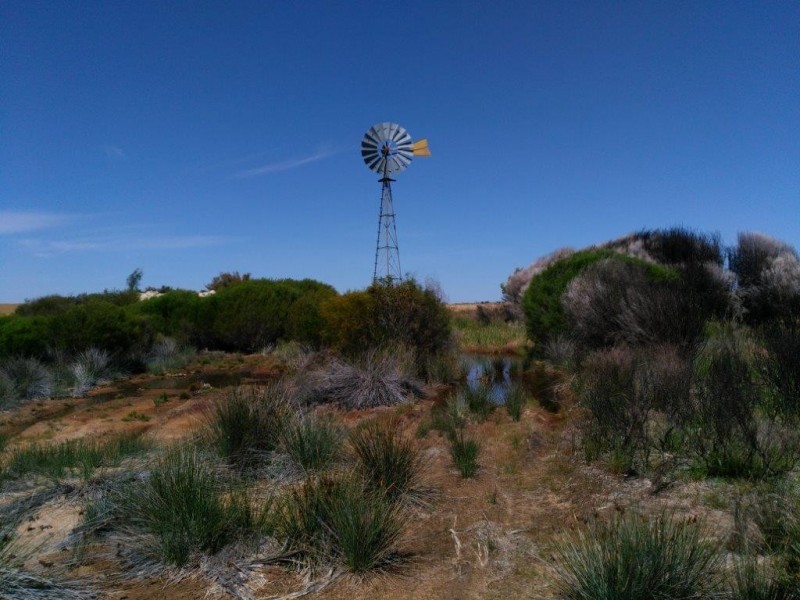 Lot 9950 Carot Well Road, Dalwallinu WA 6609
