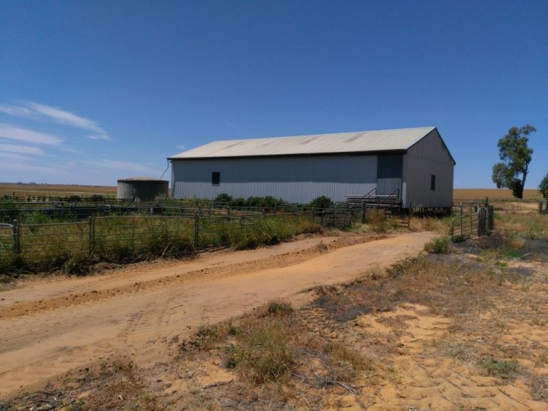 Lot 9950 Carot Well Road, Dalwallinu WA 6609