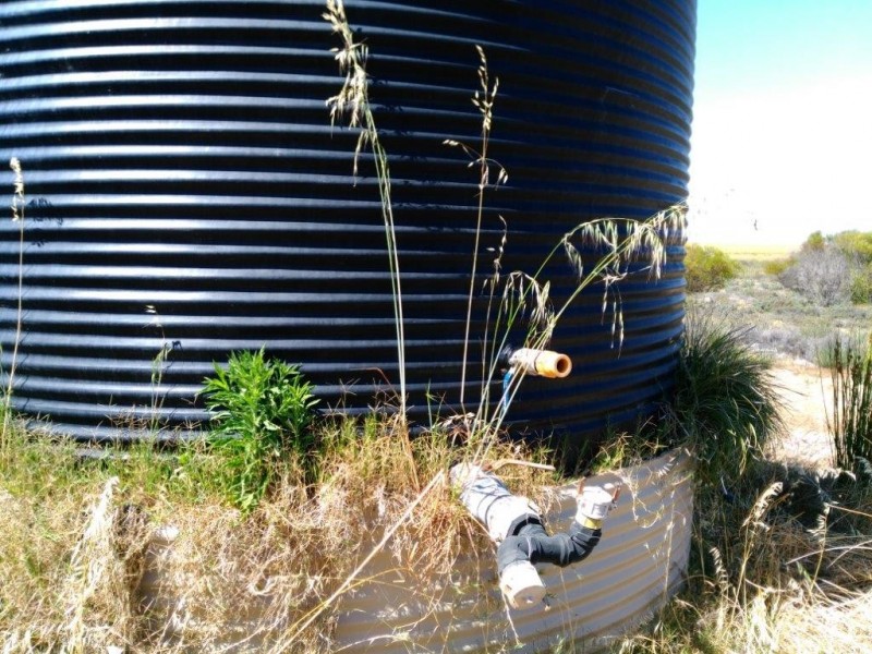 Lot 9950 Carot Well Road, Dalwallinu WA 6609