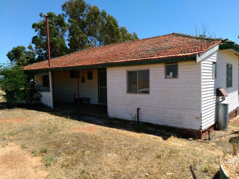 Lot 9950 Carot Well Road, Dalwallinu WA 6609