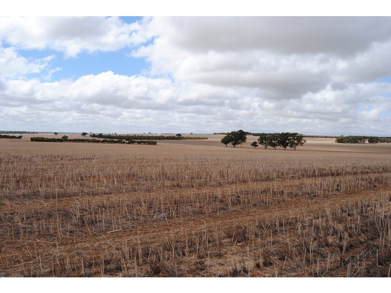 Cnr Halliday Rd and South Wogolin Rd, Wickepin WA 6370