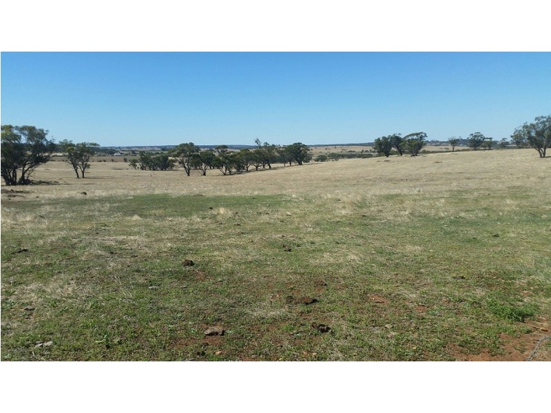 900 Telegrpah Road, Wattening WA 6568