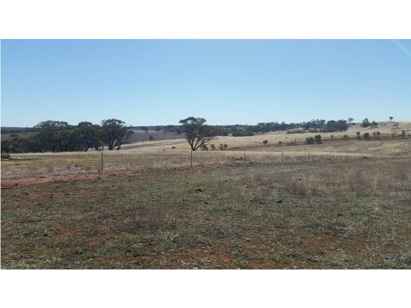 900 Telegrpah Road, Wattening WA 6568