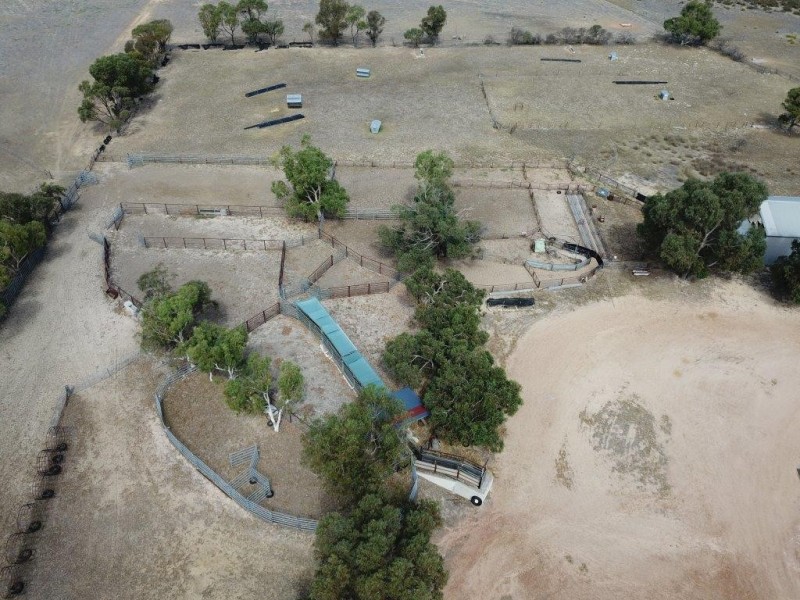 351 Pye Road, Yardarino WA 6525