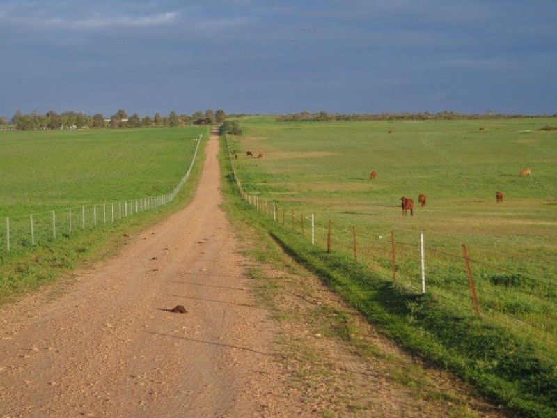 351 Pye Road, Yardarino WA 6525